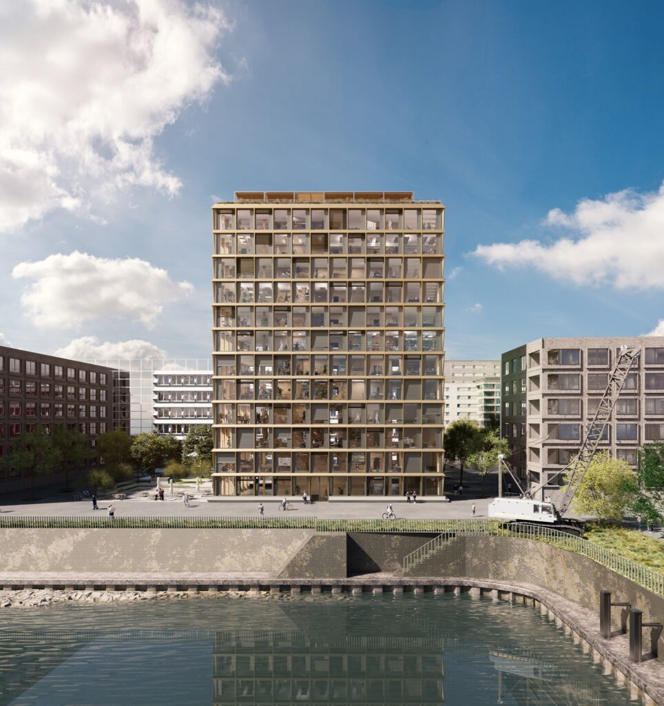 Timber Peak am Zollhafen Mainz-5